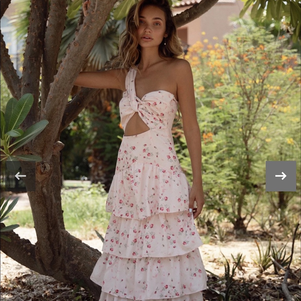 Brand New With Tags! Touch Of Rose Dress by Designer: Anne Louise Boutique.